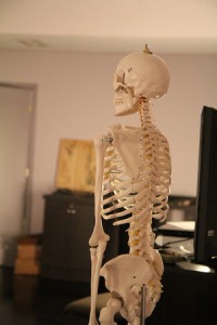 bones